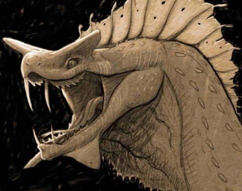 207 96b77bf4ba4f3629326e7417b192a881